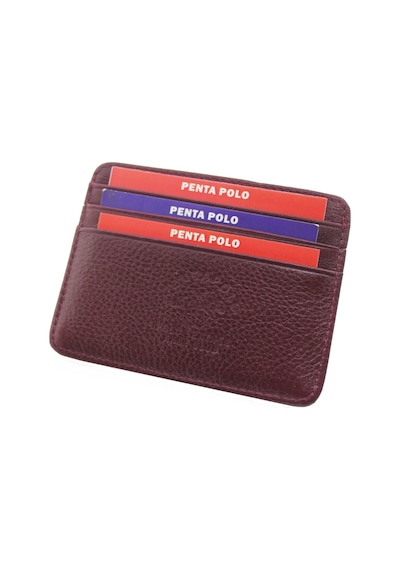 Polo W Club Penta Polo Hakiki Deri Mini Kartlık Cüzdan (463546010)