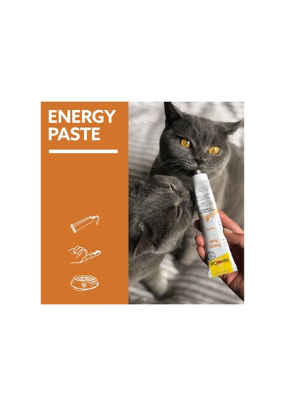 Energy Kedi Macunu 50gr