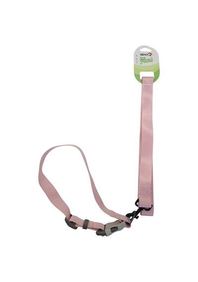 Senye Köpek Boyun Tasması Takım Yeşil X-large Çok Renkli