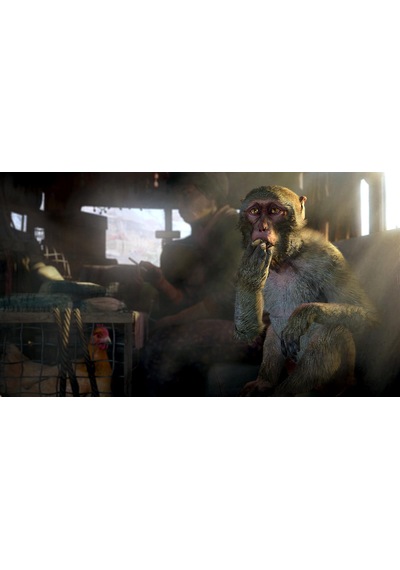 Far Cry 4 Limited Edition Ps3 Playstation 3 Cd Oyun Teşhir