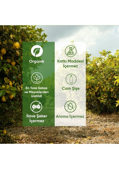 3'lü Organik Zerdeçallı İçecek Turmeric Shot 60 Ml