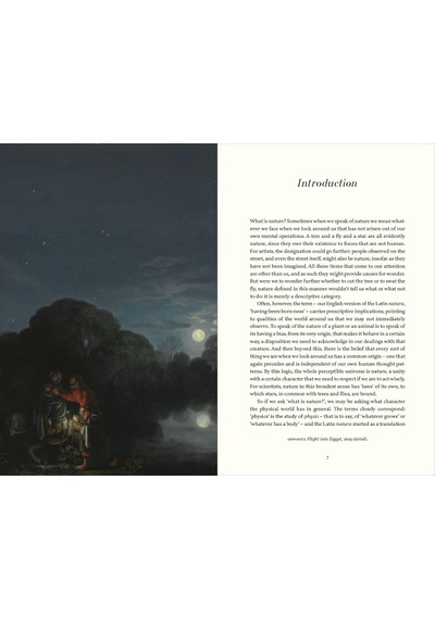 Natural Light: The Art Of Adam Elsheimer And The Dawn Of Modern Science