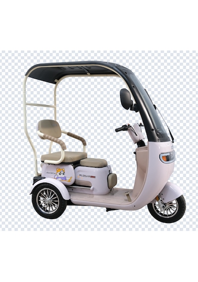 Arora Rüzgar Pro 650 W 60 V 20 AH 3 Tekerlekli Elektrikli Motosiklet Lila