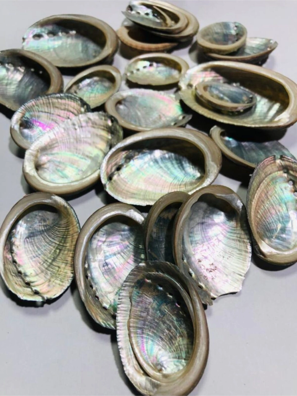 Gerçek Deniz Kabuğu 50 Gram - Sedefli - Nacreous