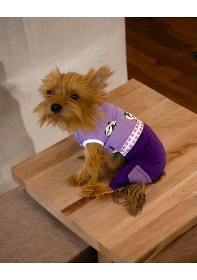 Kemique Chique Purple Panda Tulum Köpek Kıyafeti
