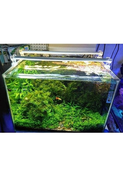 Orionled Akvaryum Led Aydınlatma Daylight 30cm 3000k