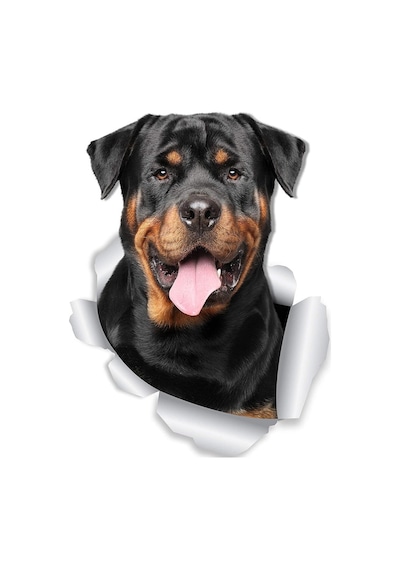 Rottweiler Köpek Araba Sticker 18Cm Etiket Yapıştırma