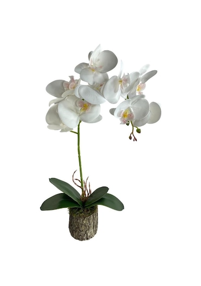 Nettenevime Kütük Saksılı Tekdal Islak Orkide Yapay Çiçek Beyaz 50 x 30 CM Nettenevime Kütük Saksılı Tekdal Islak Orkide Yapay Çiçek Beyaz 50 x 30 CM