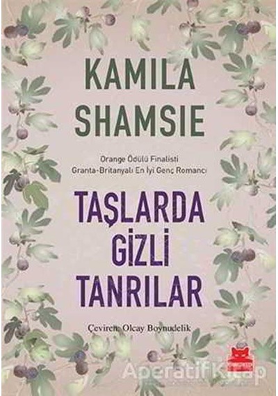 Taşlarda Gizli Tanrılar - Kamila Shamsie - Kırmızı Kedi