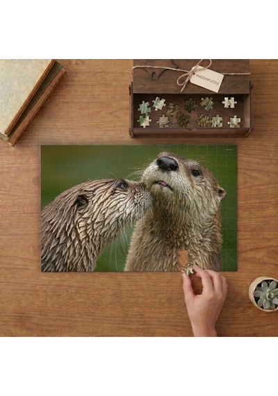 Sevimli Su Samurları Tasarımı 240 Parça Ahşap Puzzle Ahşap Kutuda Mpy50298