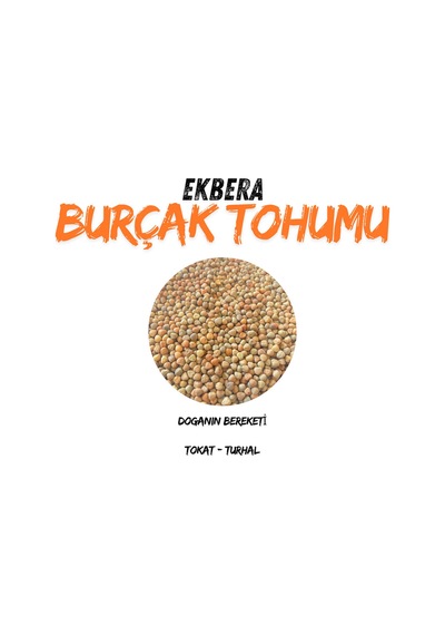 Burçak Müdürmük Tohumu 1 Kg Ekimlik Yemlik Diyet Dostu Çok Amaçlı - 717471831