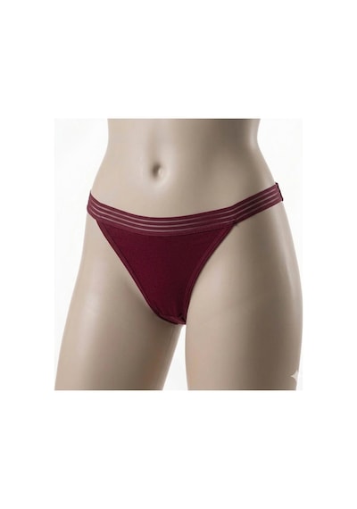3 Adet İmer Bayan Modal İnce Tül Çizgili Lastik Bikini Külot 4274 Bordo
