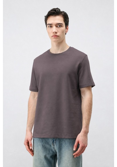 Antioch Regular Fit Basic Erkek T-shirt Koyu Vizon