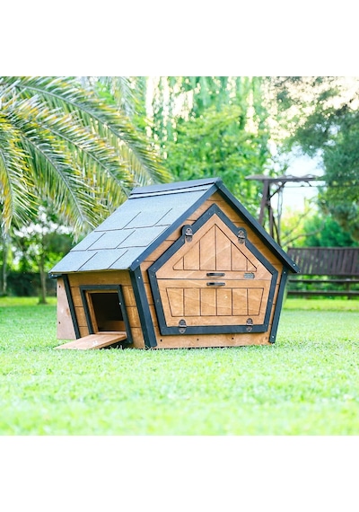 Ahşap Tavuk Kümesi 6 Tavuk Ve Güvercin Evi