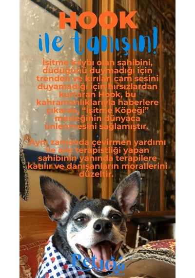 Petjoo 7.Hook Mavi-Turuncu Qr'lı Köpek Künyesi