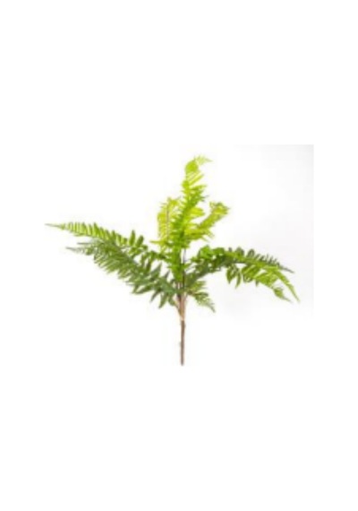 Yapay Bitki Fujer/eğrelti Otu Yeşil 75 Cm. Çok Renkli