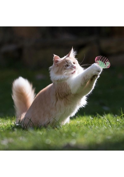 Yaylı Metal Fareli Kafes Kedi Oyun Topu Sıçrayan Spiral Kedi Topu 5468