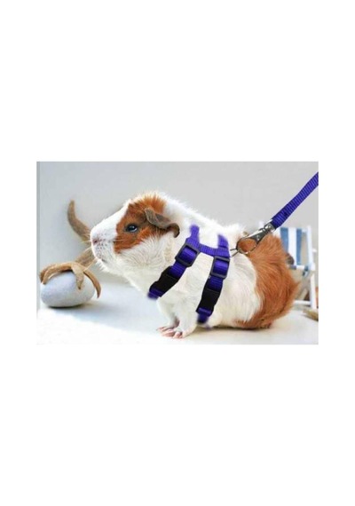 Ozzipetshop Ginepig Gine Pig Tasması Özel Patentli Tasarım