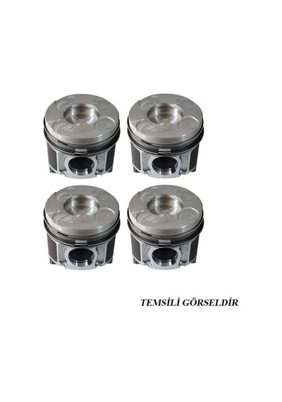 Chevrolet / Captiva C140 Piston Segman King Marka