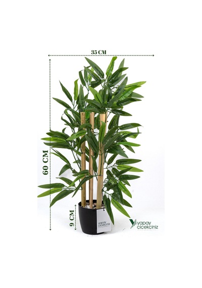 Yapay Çiçekçiniz Taş Detaylı Saksıda 60 Cm Yapay Bambu Ağacı H