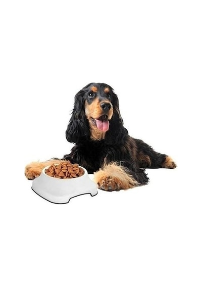 Sanalportavm Silikon Kaydırmaz Taban Plastik Kedi Ve Köpek Mama Ve Su Kabı 2 L