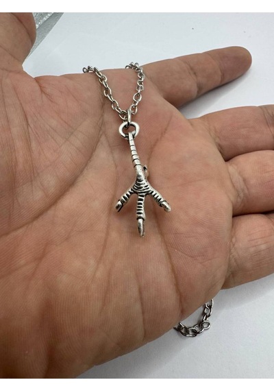 Claw Charm Tavuk Pençesi Figürlü Unisex Kolye 60 Cm Zincirli Çok renkli