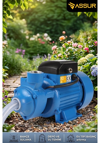 Assur Qb80 43m Basınç Yüksekliği 1 Hp Bakır Sargı Elektrikli Santrifüj Pompa Su Motoru-3150