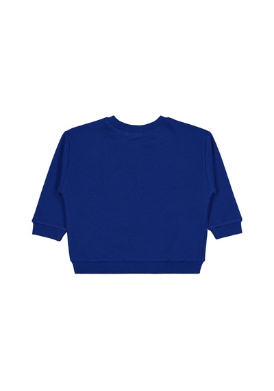 Civil Boys Dinozor Nakışlı 2-5 Yaş Sweatshirt - Mavi Saks Mavisi