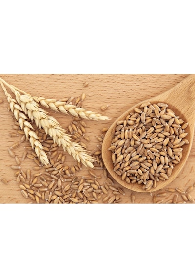 Kappadokia Kızıl Buğday, Spelt Dinkel Unu 1 Kg