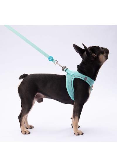 Pawstar L09 Mint Sevk Kayışı Çok Renkli