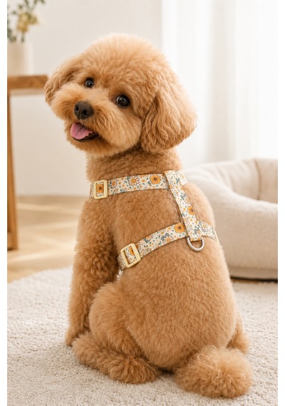 Köpekler İçin Dayanıklı Ve Güvenli, Desenli H Tipi Göğüs Tasması 20mm Krem