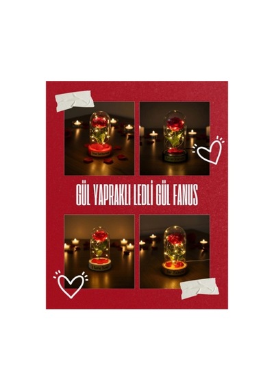 Gül Yapraklı Ledli Gül Fanus 66493913