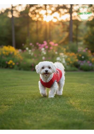 Kırmızı Renkli Patili Aşk Baskılı Kedi Ve Köpek Kıyafeti Tişörtü Elbisesi Medium/m/beden 2