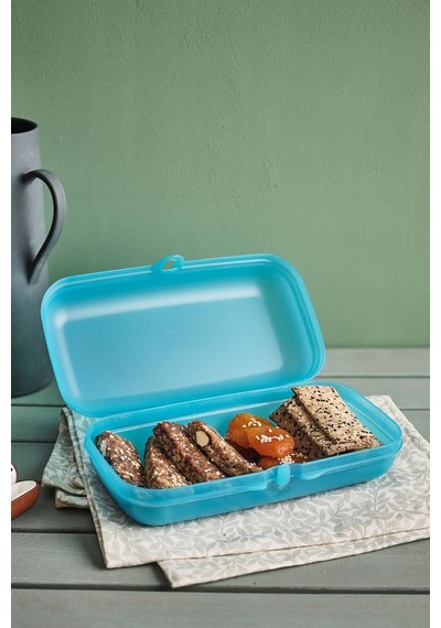 Tupperware Eco+ Dik. Taşıma Kabı Mavi