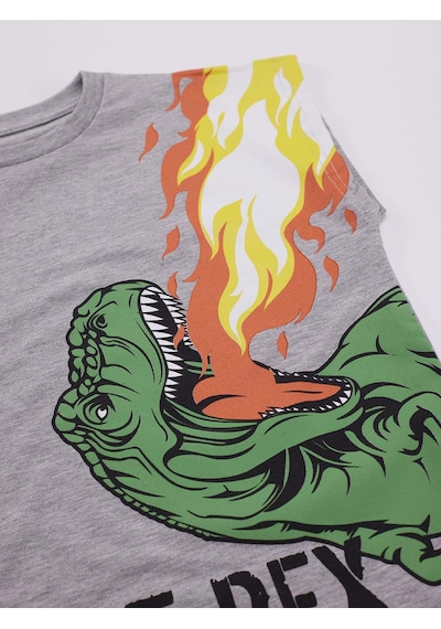Denokids Mshb&g T-Rex Alev Erkek Çocuk T-Shirt Şort Takım Çok Renkli