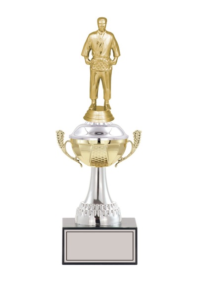 Odak Kupa - Figürlü Kupalar - Judo / Karate Figürlü Kupalar Fg-046 B - 33 Cm Altın - Beyaz