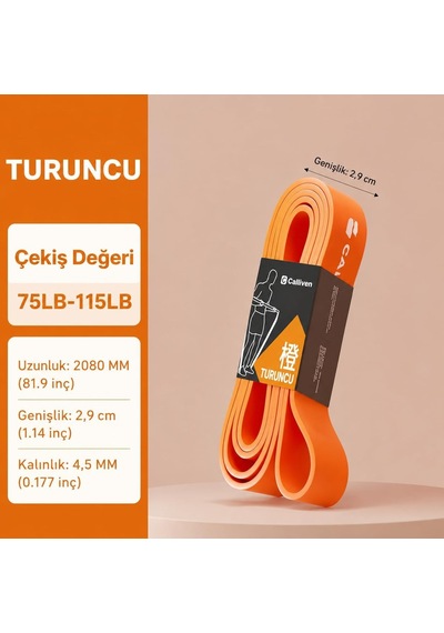Calliven Premium Direnç Lastiği Seti 4'lü - Kapı Ankrajlı, El Tutacaklı, Ayak Bilek Kayışlı Fitness Bandı 12li Genel