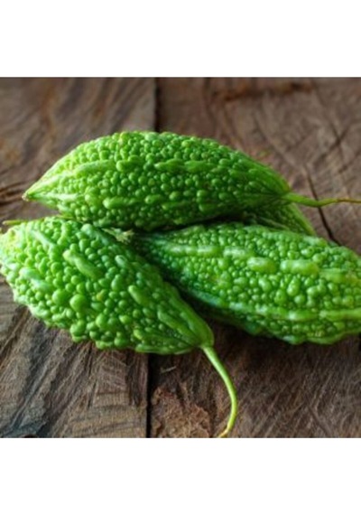 Ithal Bitter Gourd Meyvesi Tohumu Ekim Seti