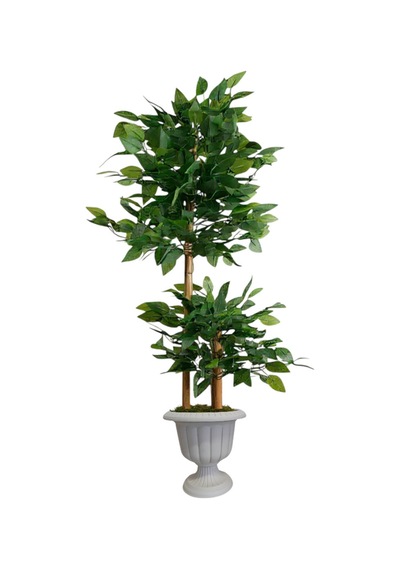 Yapay Çiçek Nergiz Saksıda Benjamin Salon Ağacı Yeşil Bitkisi Bambu Gövdeli Dolgun 145-105 Cm Yeşil