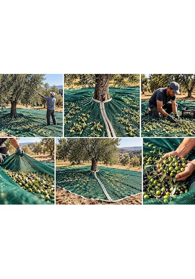 Zeytin Toplama Filesi - Ağaca Geçirmeli %95'lik Şeritli Halkalı -zeytin Sergenlik Yeşil