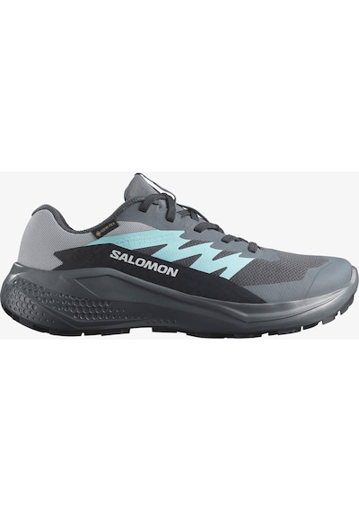 Salomon Kadın Koşu/fıtness Ayakkabı Alphaglıde Gore-tex L47802500 Gri