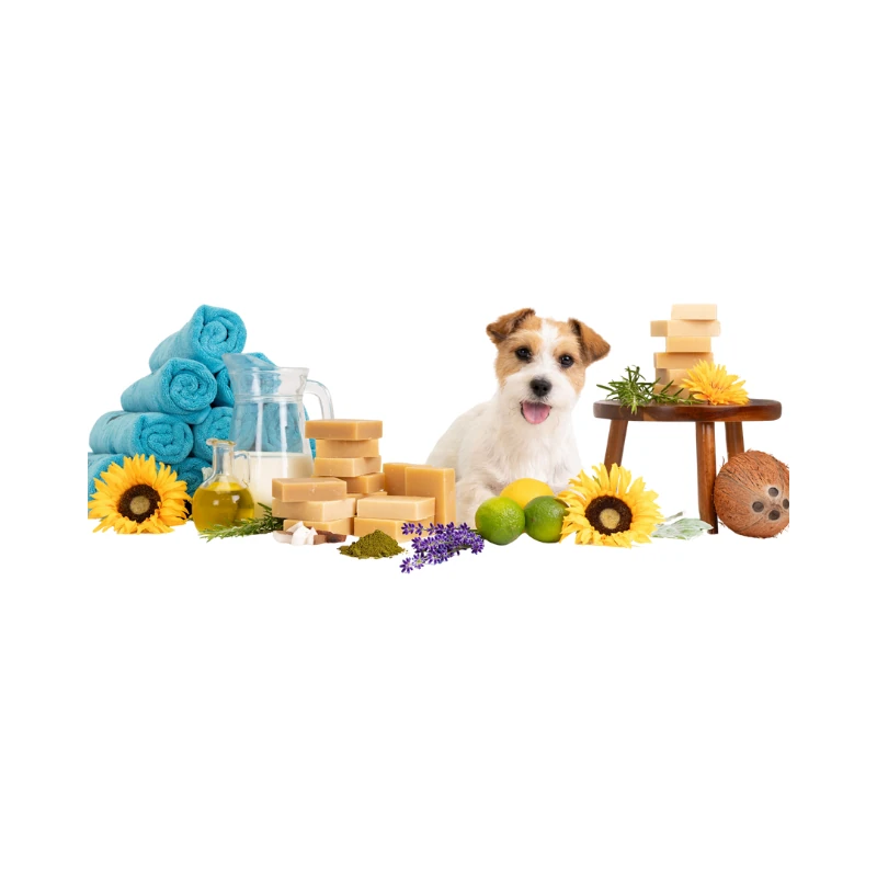 Show Tech+ Bubble Bliss Kedi Ve Köpek İçin Yoğun Köpüklü Doğal Kalıp Sabun - Hassas Bakımın Gücü