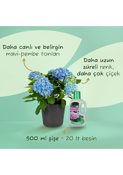 Ayrex Genta Ortancalar Ve Açelyalar İçin Sıvı Besin Gübre 500 Ml 0,250