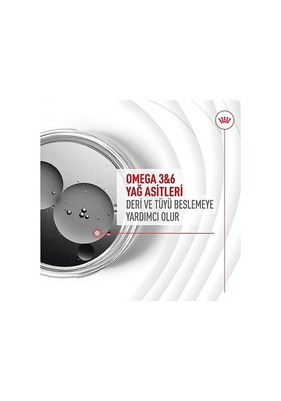 Royal Canin Skin & Coat Chews Deri Ve Tüy Sağlığını Destekleyen Yetişkin Köpek Ödül Maması 240gr