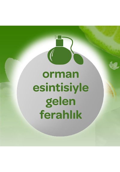 Dalin Bebek Kolonyası 150ml Orman Esintisi 3 Lü Set