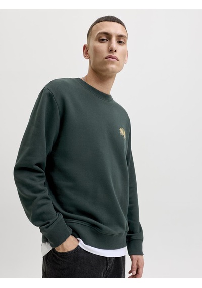 Jack&jones Erkek Göğüs Baskılı Bisiklet Yaka Uzun Kollu Sweatshirt - Aero - 12298492 Scarab-small Print-1274740 Jack&jones Erkek Göğüs Baskılı Bisiklet Yaka Uzun Kollu Sweatshirt - Aero - 12298492 Scarab-small Print-1274740