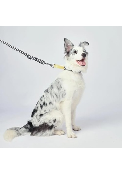 Wıld Safarı Collar L