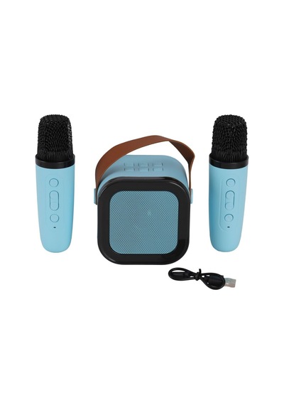 Emr-102 Kutulu 2li Karaoke Mikrofon - Grsy-888606 1 Adet