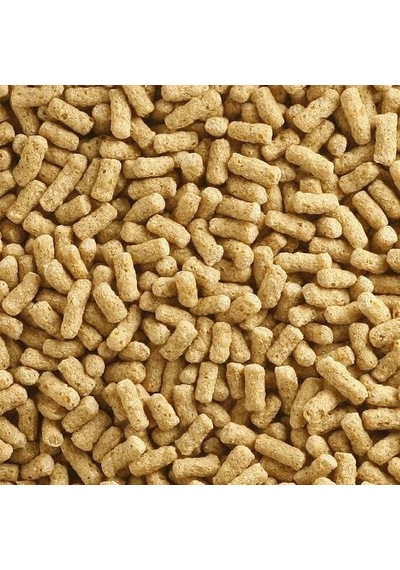 Badem Akvaryum Sade Pond Yem Açık 100 G