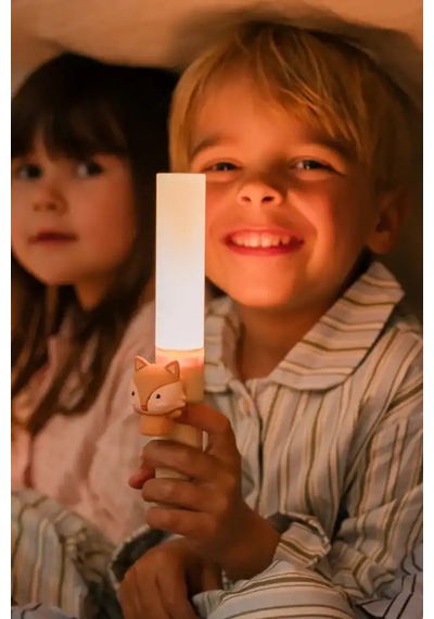 Zoo Light Fox Çok Amaçlı Çocuk Gece Lambası - Zl1f Çok  Renkli